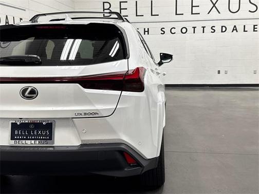 2025 Lexus UX 300h Premium
