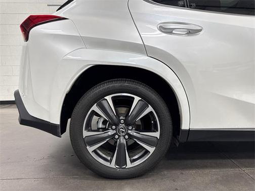 2025 Lexus UX 300h Premium