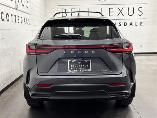 2025 Lexus NX 250 Premium