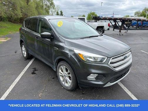 Magnetic 2019 Ford Escape SE