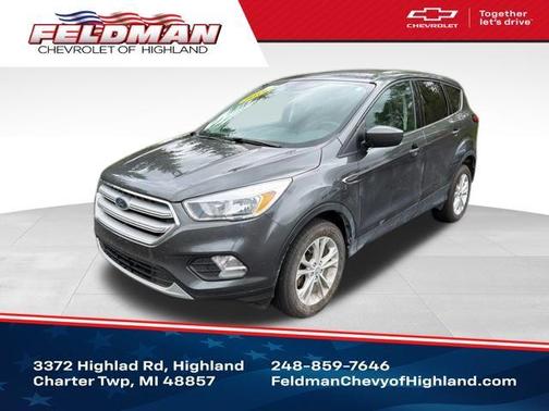 Magnetic 2019 Ford Escape SE