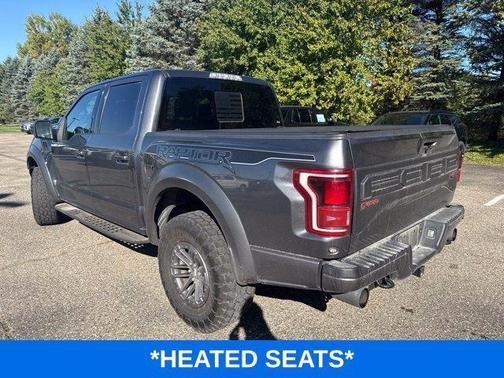 Magnetic 2019 Ford F-150 Raptor