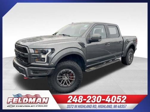 Magnetic 2019 Ford F-150 Raptor