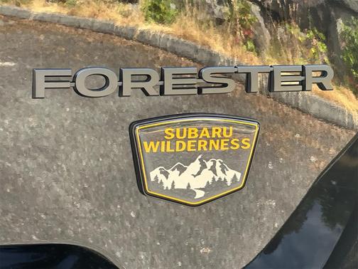 2025 Subaru Forester Wilderness