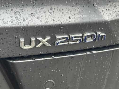 2022 Lexus UX 250h Luxury