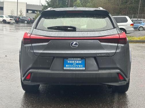 2022 Lexus UX 250h Luxury