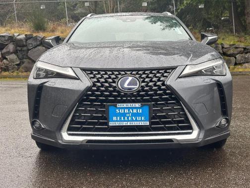 2022 Lexus UX 250h Luxury