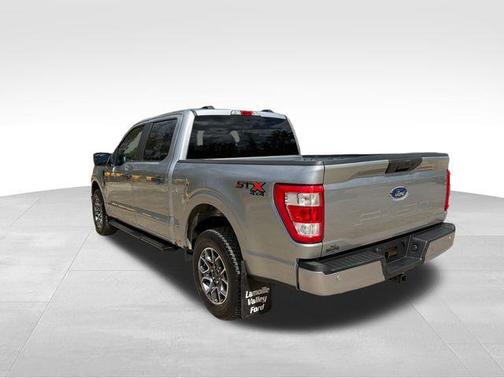 Silver Metallic 2021 Ford F-150 XL