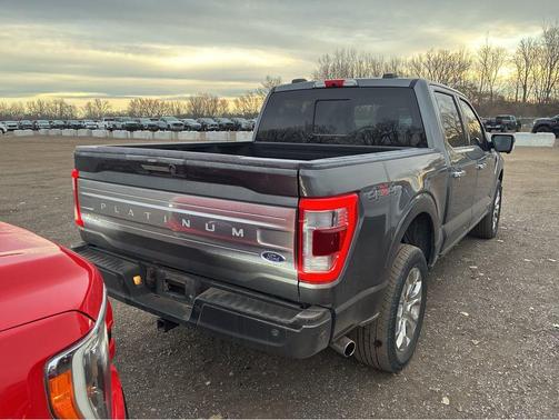 2022 Ford F-150 Platinum