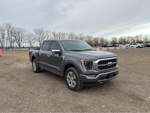 2022 Ford F-150 Platinum