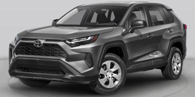 Ice Cap 2025 Toyota RAV4 XLE