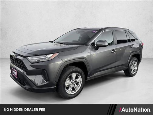 Magnetic Gray Metallic 2024 Toyota RAV4 XLE