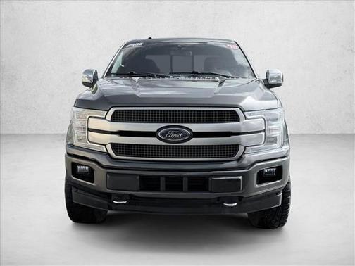 Magnetic Metallic 2018 Ford F-150 Platinum