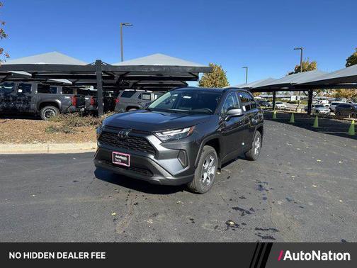 Magnetic Gray Metallic 2025 Toyota RAV4 XLE