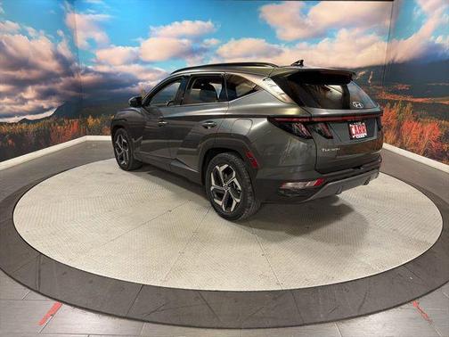 Amazon Gray 2022 Hyundai TUCSON Limited