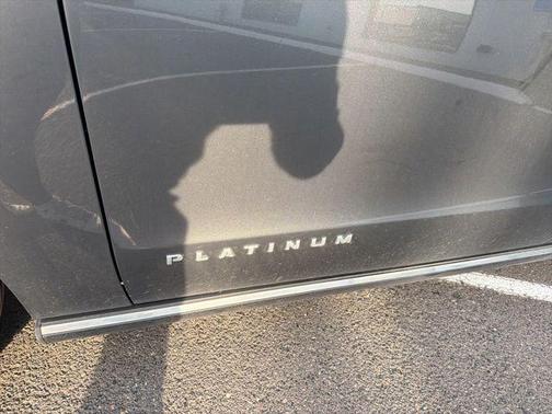 Magnetic Metallic 2020 Ford Expedition Platinum