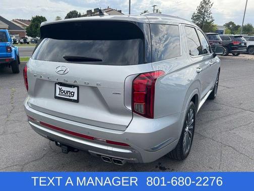 Typhoon Silver 2024 Hyundai PALISADE Calligraphy