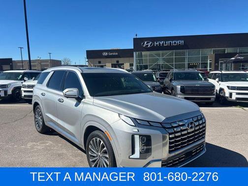 Typhoon Silver 2024 Hyundai PALISADE Calligraphy