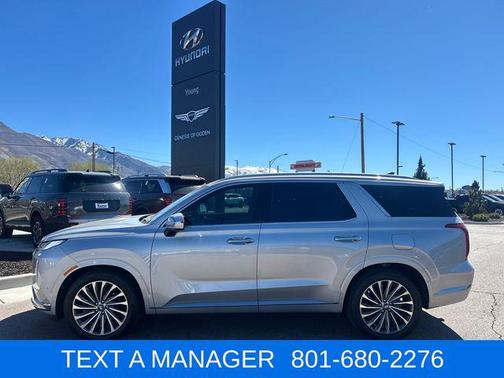 Typhoon Silver 2024 Hyundai PALISADE Calligraphy