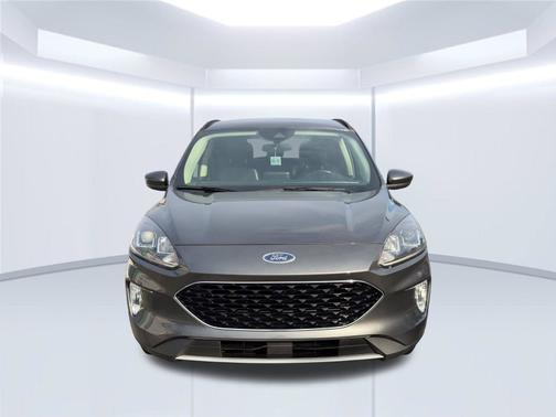 Magnetic 2020 Ford Escape SEL