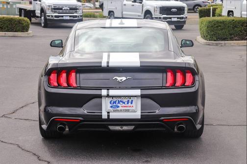 Dark Matter Gray Metallic 2023 Ford Mustang EcoBoost