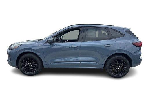 2024 Ford Escape ST-Line Elite