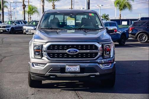 2021 Ford F-150 Platinum