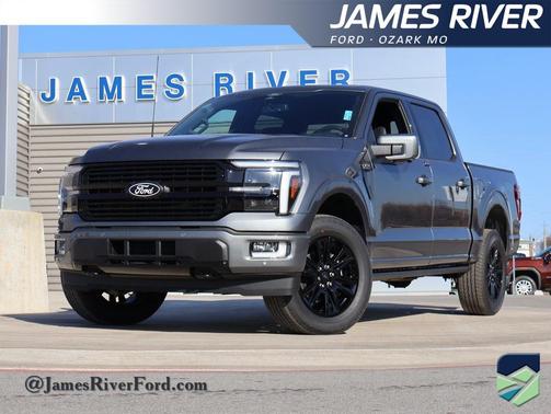 Gray 2025 Ford F-150 Platinum Truck