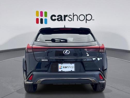 2021 Lexus UX 250h F Sport