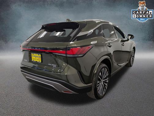 Nori Green Pearl 2023 Lexus RX 350 Premium Plus