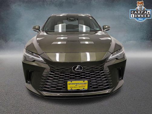 Nori Green Pearl 2023 Lexus RX 350 Premium Plus