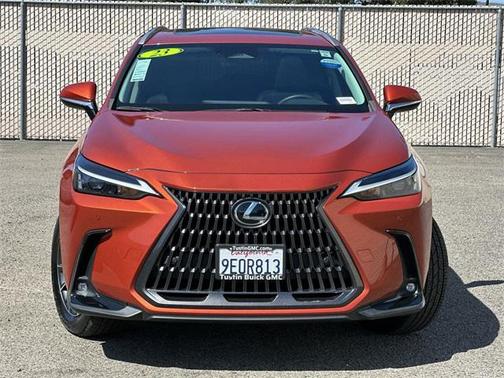 2023 Lexus NX 350 Premium