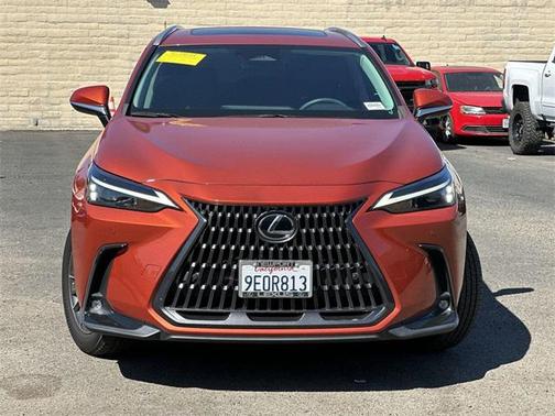 2023 Lexus NX 350 Premium