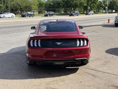 Ruby Red Metallic Tinted Clearcoat 2019 Ford Mustang EcoBoost