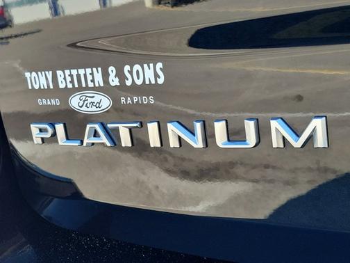 AGATE BLACK METALLIC 2025 Ford Expedition PLATINUM