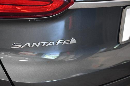 Rainforest 2020 Hyundai SANTA FE SE 2.4