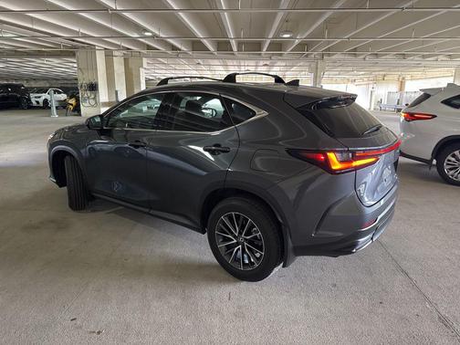 Cloudburst Gray 2025 Lexus NX 350 Premium