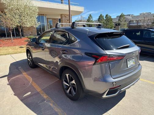 Nebula Gray Pearl 2020 Lexus NX 300h Base