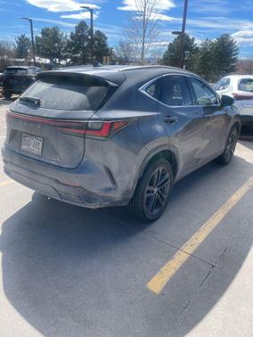 2024 Lexus NX 450h+ Luxury