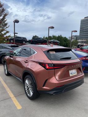 2025 Lexus NX 350 Premium