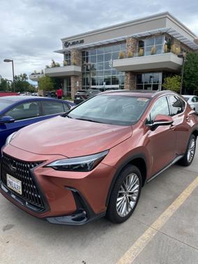 2025 Lexus NX 350 Premium