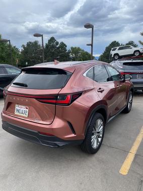 2025 Lexus NX 350 Premium
