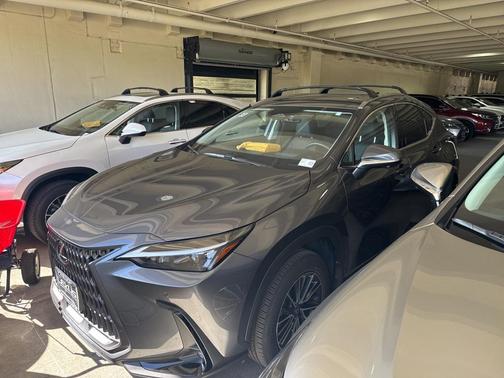 2025 Lexus NX 350h Premium
