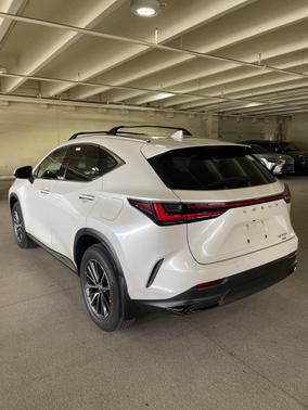 2025 Lexus NX 350h Premium
