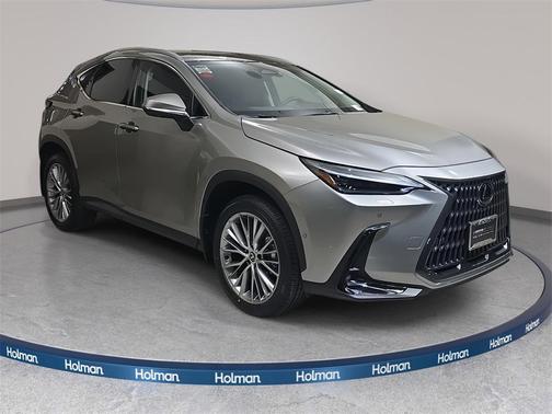 2025 Lexus NX 350h Luxury