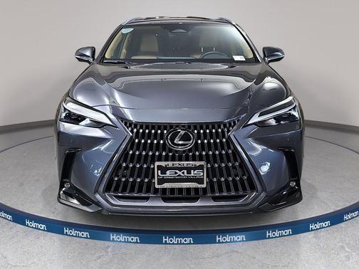Cloudburst Gray 2025 Lexus NX 350 Premium
