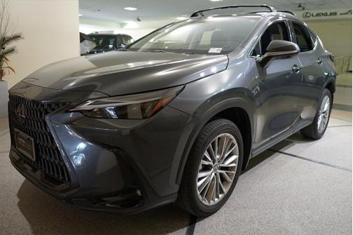 2025 Lexus NX 350 Premium
