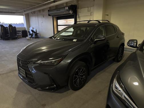 2025 Lexus NX 350h Premium