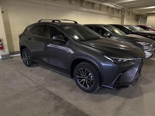 2025 Lexus NX 350h Premium