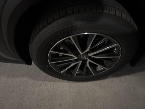 2025 Lexus NX 350h Premium